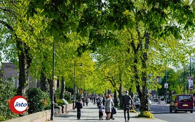 Nordirische Ausdrücke: 25 Wörter für deinen Austausch